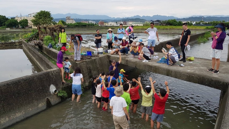 圖文：水規所與霧峰國小踏水尋溪認識在地排水路裡的住民。（黎家興提供）