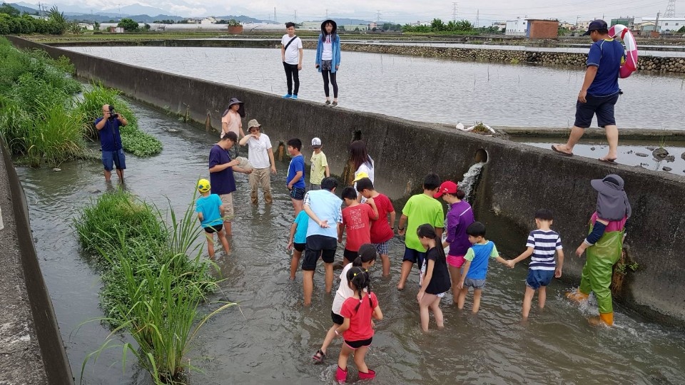 圖文：水規所與霧峰國小踏水尋溪認識在地排水路裡的住民。（黎家興提供）