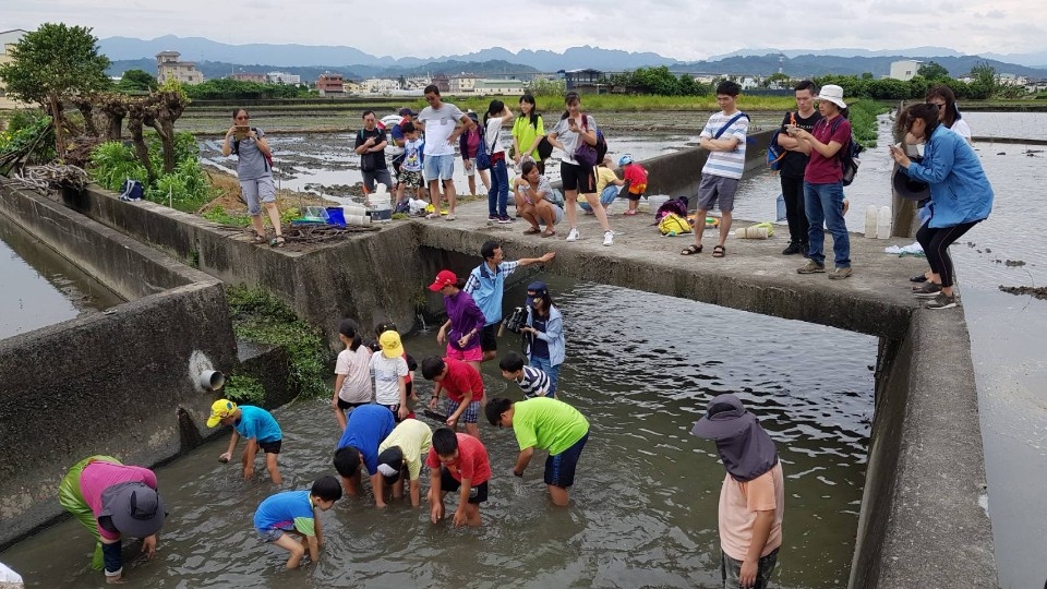 圖文：水規所與霧峰國小踏水尋溪認識在地排水路裡的住民。（黎家興提供）