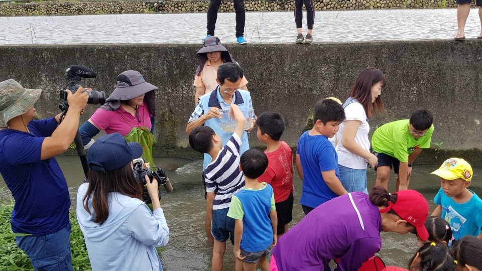 圖文：水規所與霧峰國小踏水尋溪認識在地排水路裡的住民。（黎家興提供）