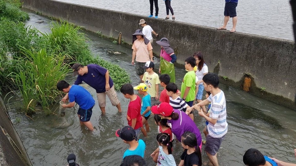 圖文：水規所與霧峰國小踏水尋溪認識在地排水路裡的住民。（黎家興提供）