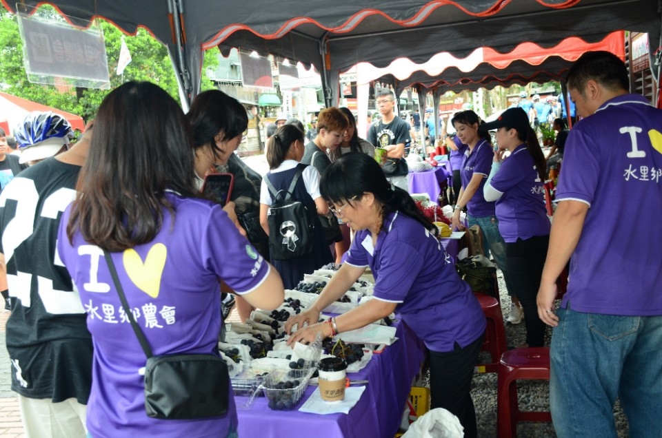 黑紫玉葡萄上市了 歡迎民眾參觀選購。(記者陳金泉翻攝)