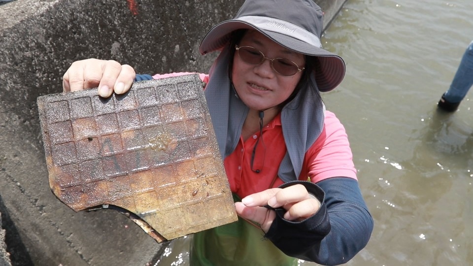 圖文：水規所結合在地五福國小發展排水路環境教案「水邊樂校」。（黎家興/提供）圖文：水規所結合在地五福國小發展排水路環境教案「水邊樂校」。（黎家興/提供）