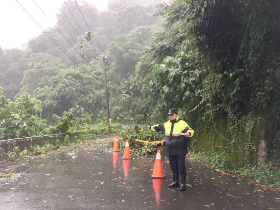 風雨來襲路樹倒塌  警呼籲注意行車安全。(記者劉秝娟翻攝)