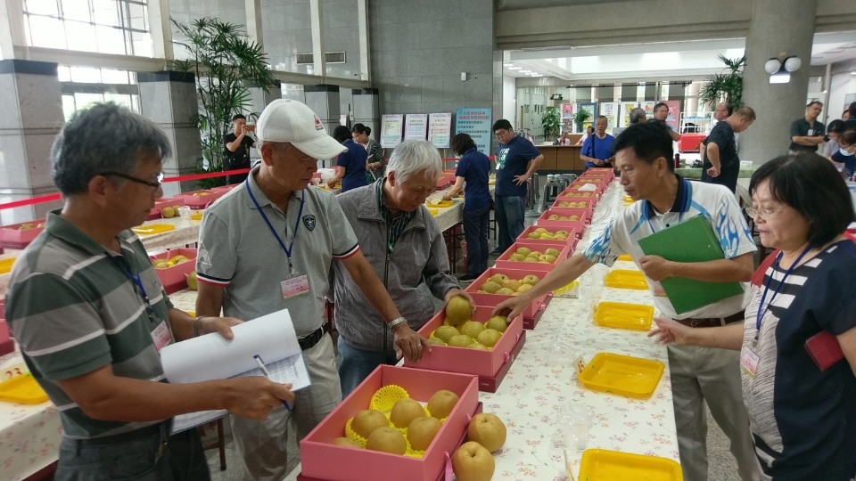 高接梨果品評鑑。(特派員孫崇文翻攝)