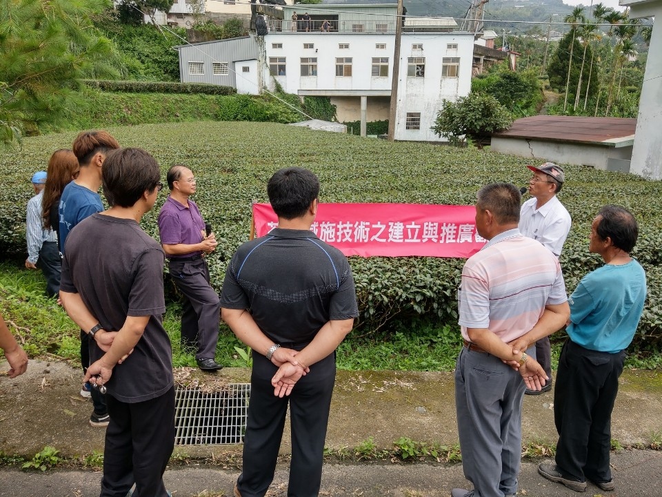 茶業改良場魚池分場專家於茶園現場解說減施技術操作實務。(記者陳笠洋翻攝)