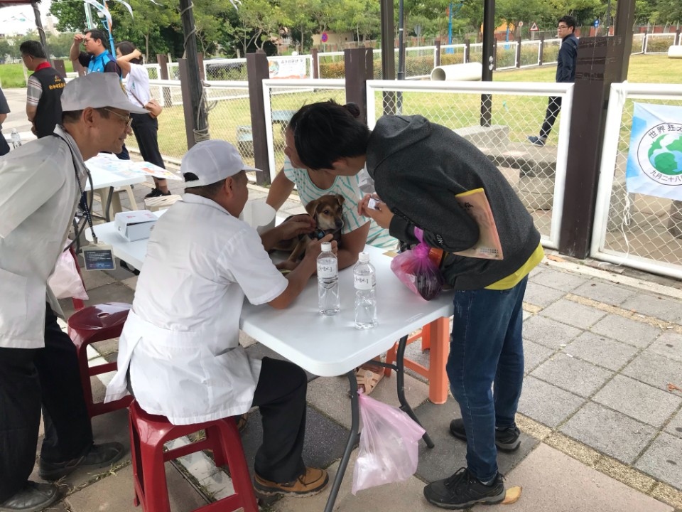 響應世界狂犬病日 中市動保處這樣做。(特派員孫崇文翻攝)