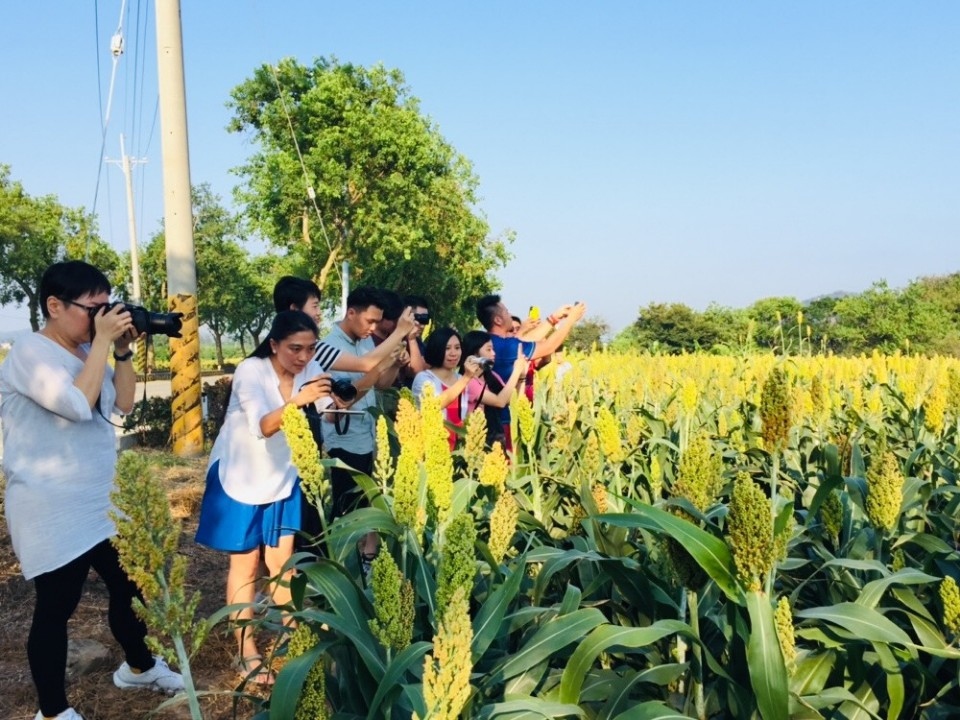 縣府邀馬來西亞媒體來金 開拓國際客源。(記者湖明嬛翻攝)