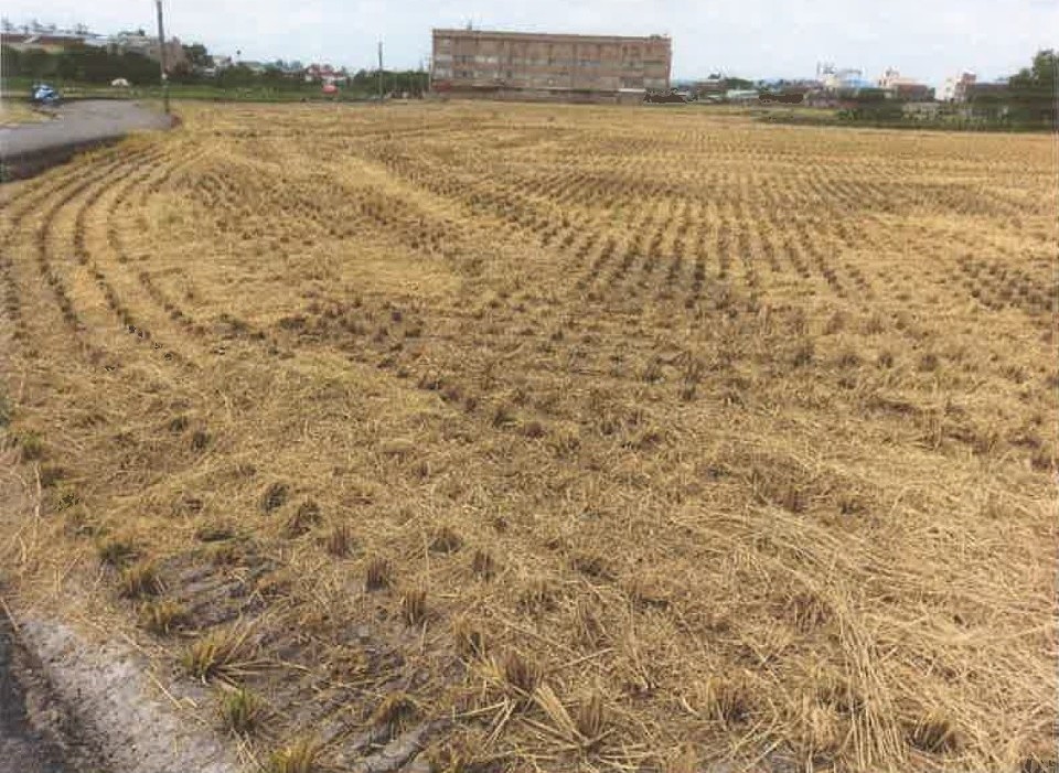 中市2期作稻草剪段翻耕補助 即日起至12月10日開放申請。(記者白信東翻攝)