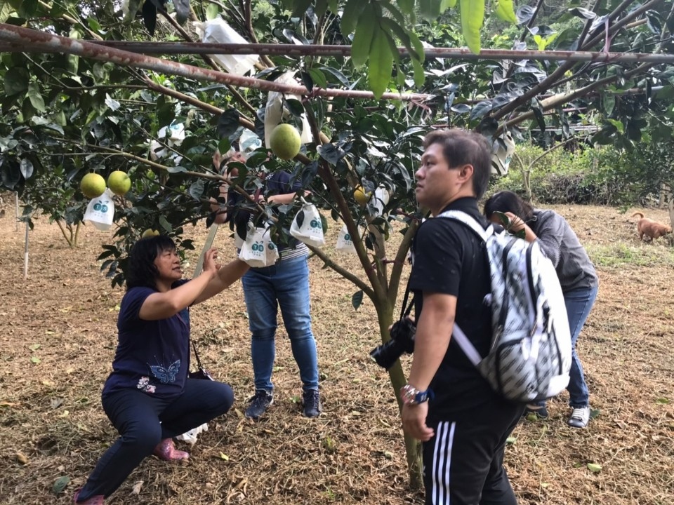 中苗網紅農村 山城慢遊趣。(記者王炎輝翻攝)