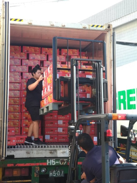 台中椪柑外銷印尼、馬來西亞 40噸封櫃啟運。(記者劉秝娟翻攝)