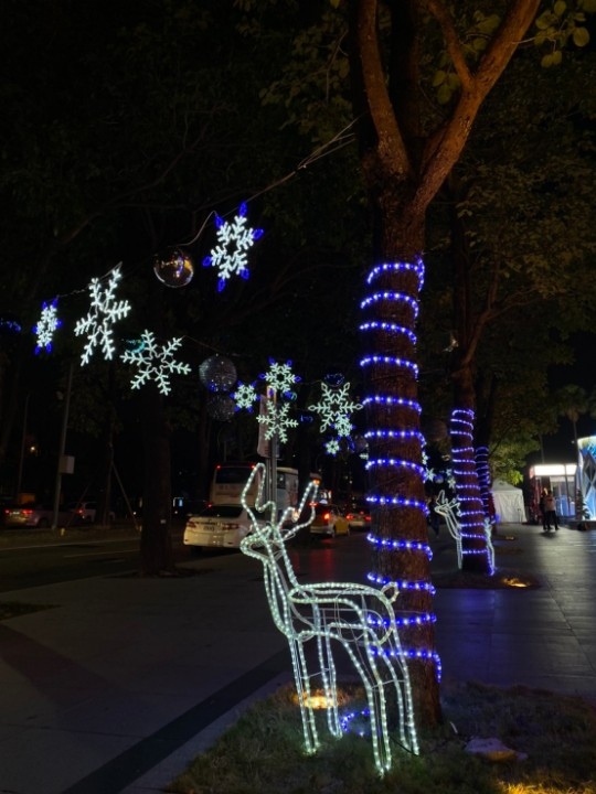 行道樹裝飾耶誕燈飾。(記者劉明福翻攝)