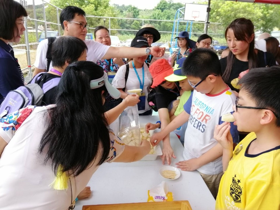 港客千人遊台中東勢 體驗梨果採收田園風光。(記者劉秝娟翻攝)