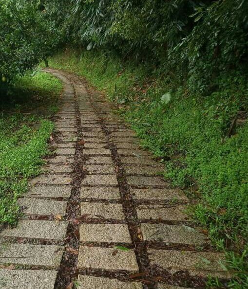 大坑登山步道豪雨造成損壞 中市府陸續搶修恢復中 呼籲民眾注意安全。(記者高秋敏翻攝)