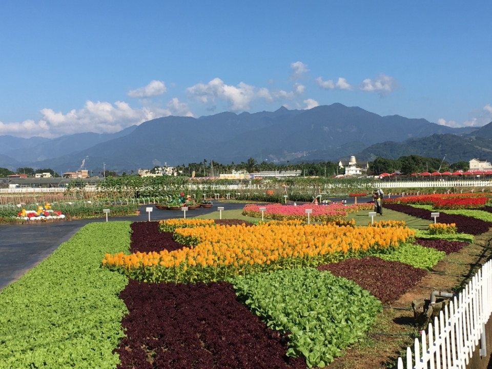 中苗網紅農村 山城慢遊趣。(記者王炎輝翻攝)