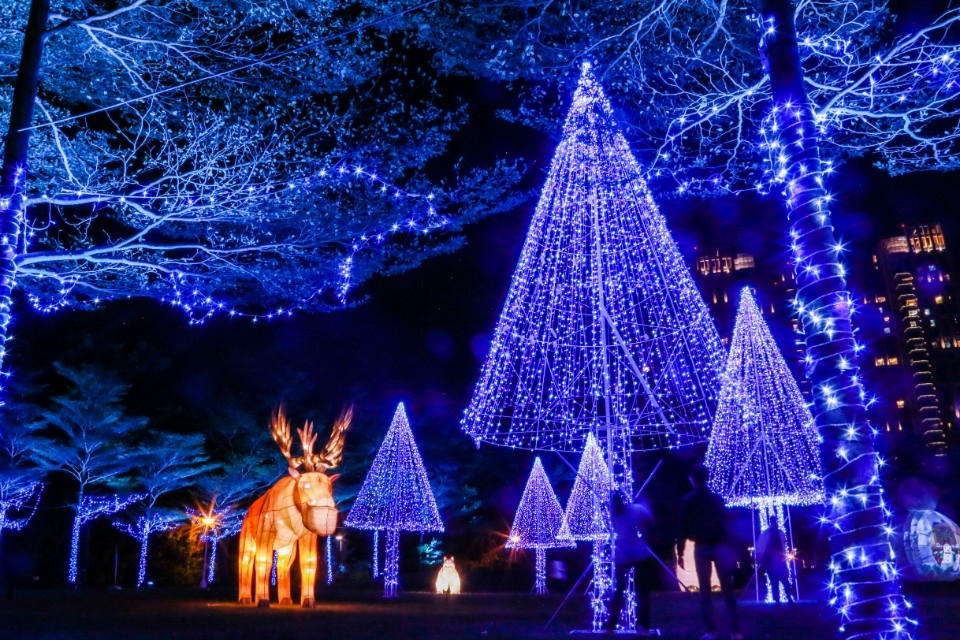 文心森林公園副展區。(記者林俊維翻攝)