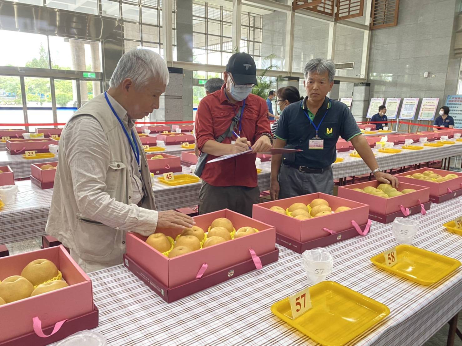 評審委員根據梨外觀、質地風味及糖度等評分。(特派員孫崇文翻攝)