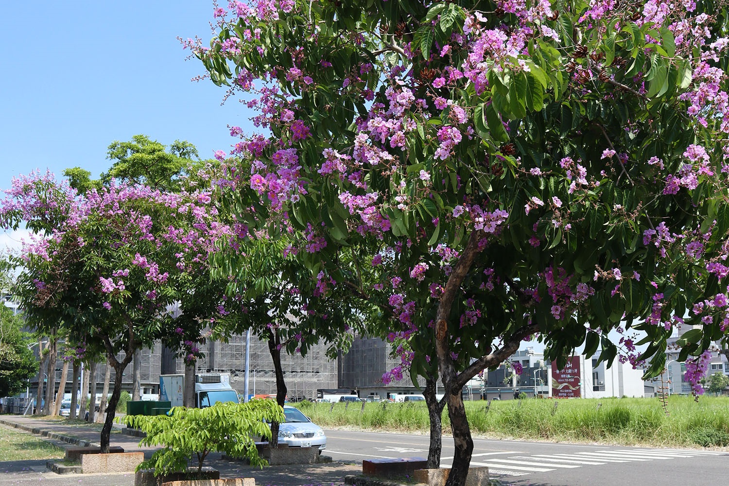 募集屏東四季美景想和你一起 花時間