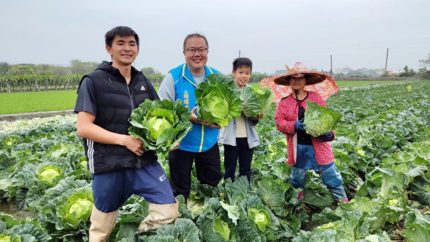 楊曜聰助農民擺脫「菜金菜土」宿命 挺菜農做公益發票兌換高麗菜 蕃新聞