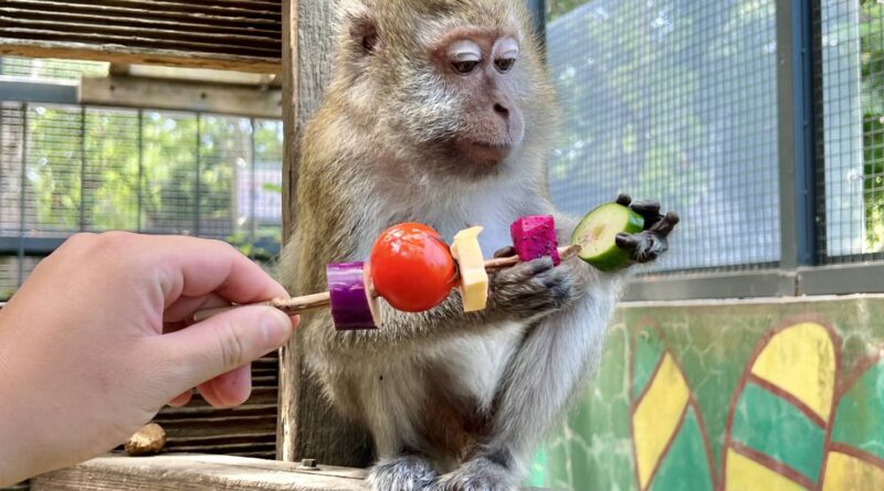 壽山動物園打造中秋野營風  動物享用特製野營餐點