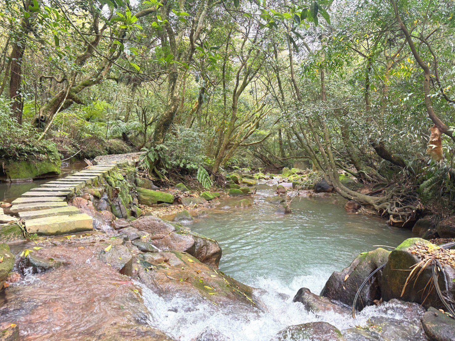 走在步道上感受清涼和聆聽溪水聲 圖/台北市政府