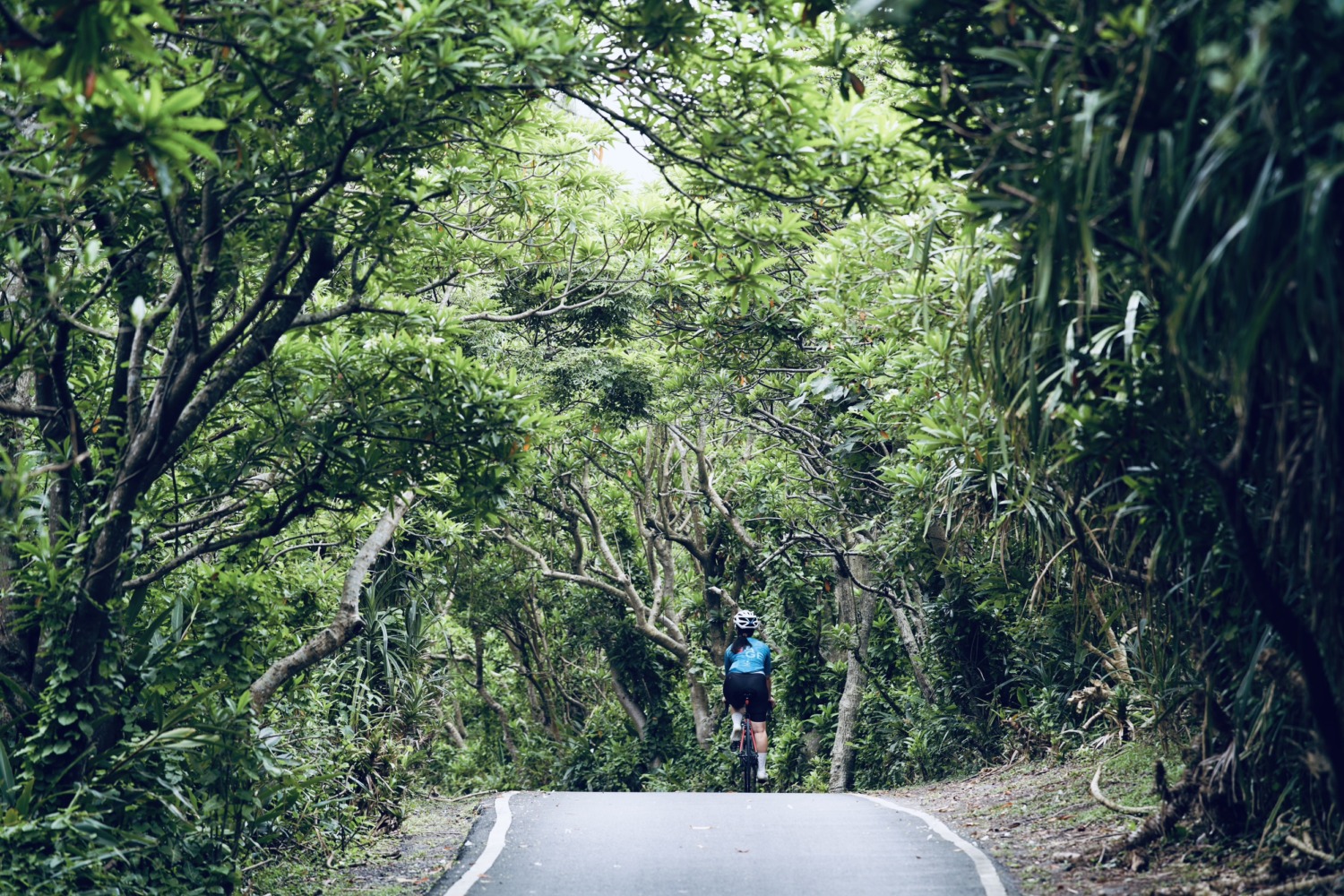 培養孩子享受運動樂趣，騎乘單車馳騁在大自然之間，為孩子帶來具有啟發性的營隊體驗。圖/ensage提供