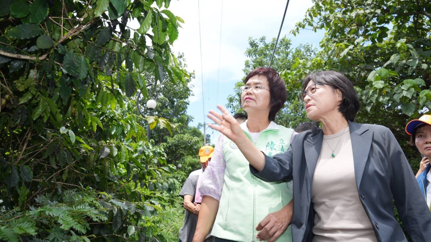 「疣胸琉璃蟻」蟲蟲危機　立委陳素月促跨部會聯手防治