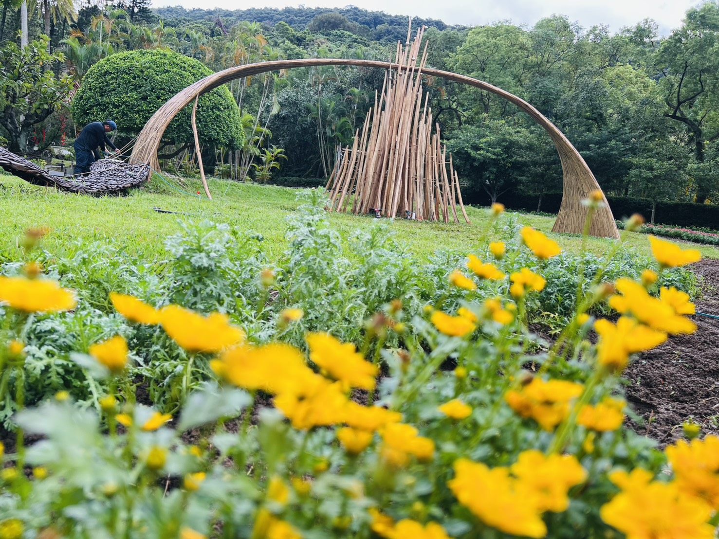 風起光湧裝置藝術 圖/台北市政府