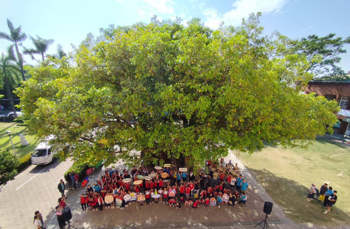 百年中路國小大榕樹獲列「受保護樹木」  農業局與師生歡度校慶溫馨揭牌