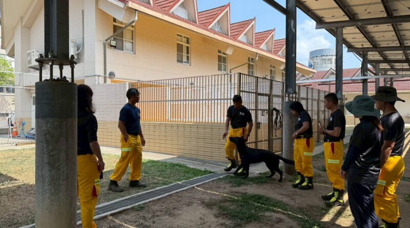 救災再升級！高雄首創義消搜救犬體系　建構城市安全網