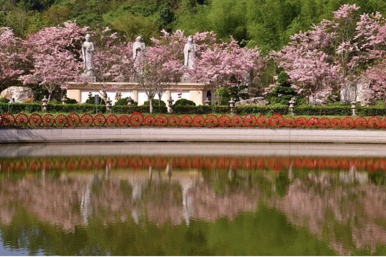 兒童連假衝六龜!花旗木盛開+美人湯 高雄山城旅遊大爆發 兒童連假衝六龜!花旗木盛開+美人湯 高雄山城旅遊大爆發