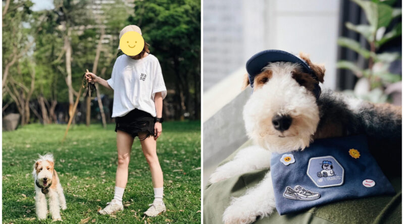 女網友驚見愛犬與SNOOPY「神同步」？NB春季SNOOPY布章萌翻社群