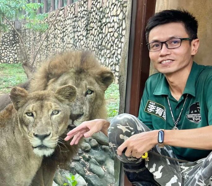 壽山動物園百歲獅王二哥離世  醫療團隊守護最後一程