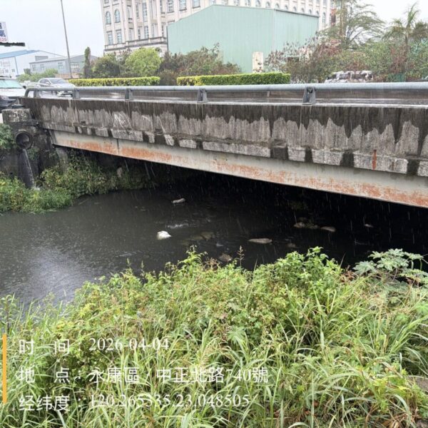 永康區排水渠道大量魚隻死亡 南市水利局連假期間迅速打撈