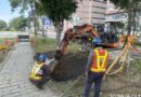 前鎮區新光路綠帶下陷　水利局火速完成搶修
