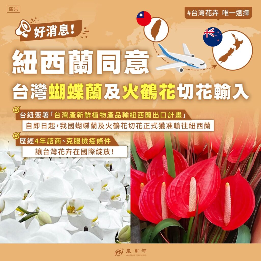 歷經多年諮商談判,終於傳來佳音,蝴蝶蘭及火鶴花切花獲准輸入紐西蘭。圖/農業部提供