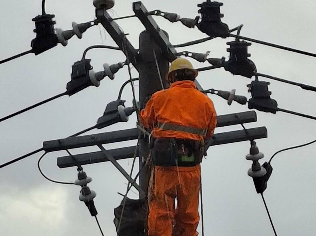 台電烈日下全力搶修  鳳山1167戶4小時完成復電