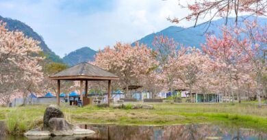 暑假慢遊六龜正夯　東高雄山城美景與美人湯一次入袋