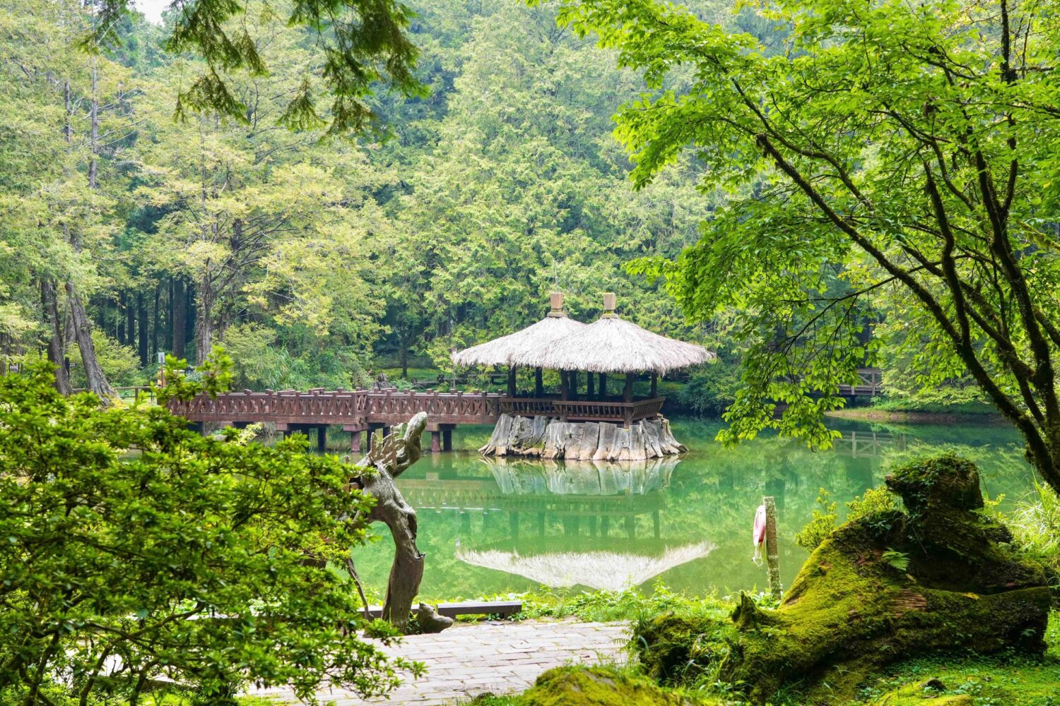 秋遊阿里山免開車 兩天一夜慢遊山林